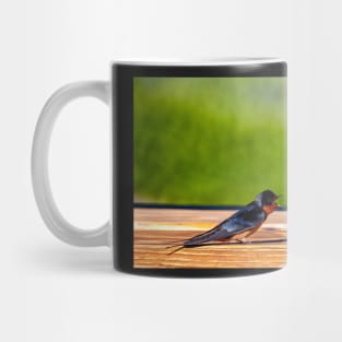 A Pair of Barn Swallows Arguing Mug